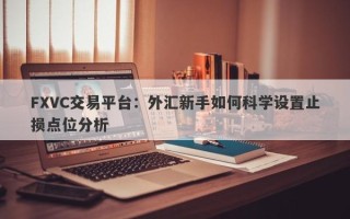 FXVC交易平台：外汇新手如何科学设置止损点位分析