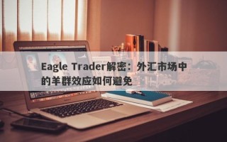 Eagle Trader解密：外汇市场中的羊群效应如何避免