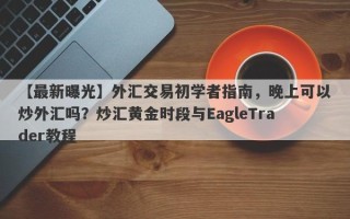 【最新曝光】外汇交易初学者指南，晚上可以炒外汇吗？炒汇黄金时段与EagleTrader教程