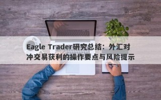 Eagle Trader研究总结：外汇对冲交易获利的操作要点与风险提示