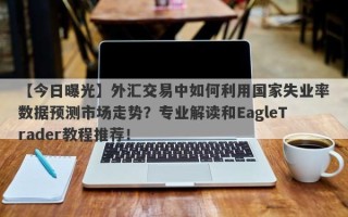 【今日曝光】外汇交易中如何利用国家失业率数据预测市场走势？专业解读和EagleTrader教程推荐！