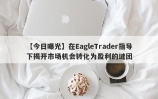 【今日曝光】在EagleTrader指导下揭开市场机会转化为盈利的谜团