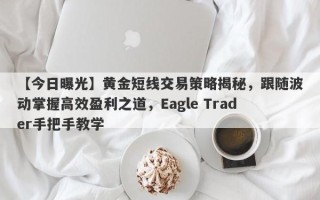 【今日曝光】黄金短线交易策略揭秘，跟随波动掌握高效盈利之道，Eagle Trader手把手教学