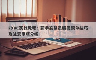 FXVC实战教程：新手交易员镜像跟单技巧及注意事项分析