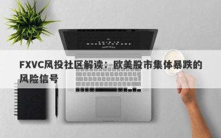 FXVC风投社区解读：欧美股市集体暴跌的风险信号