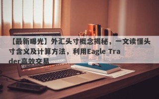 【最新曝光】外汇头寸概念揭秘，一文读懂头寸含义及计算方法，利用Eagle Trader高效交易