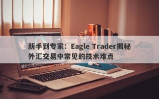 新手到专家：Eagle Trader揭秘外汇交易中常见的技术难点