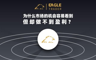为什么市场的机会容易看到，但却做不到盈利？