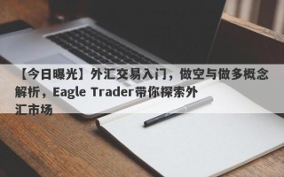 【今日曝光】外汇交易入门，做空与做多概念解析，Eagle Trader带你探索外汇市场