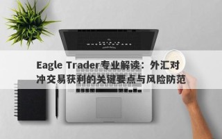 Eagle Trader专业解读：外汇对冲交易获利的关键要点与风险防范