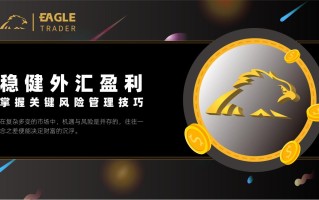 稳健外汇盈利：掌握关键风险管理技巧