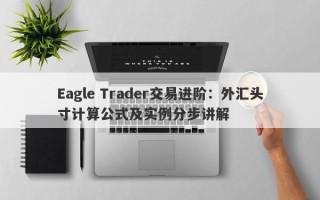 Eagle Trader交易进阶：外汇头寸计算公式及实例分步讲解