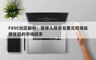 FXVC社区解析：离岸人民币兑美元短线反弹背后的市场因素