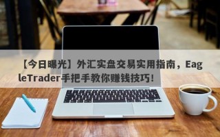 【今日曝光】外汇实盘交易实用指南，EagleTrader手把手教你赚钱技巧！