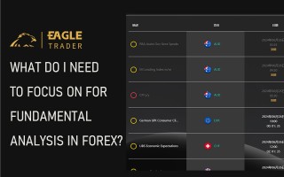 ​外汇的基本面分析需要关注什么？