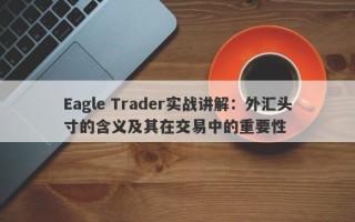 Eagle Trader实战讲解：外汇头寸的含义及其在交易中的重要性