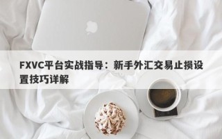 FXVC平台实战指导：新手外汇交易止损设置技巧详解