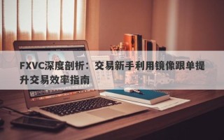 FXVC深度剖析：交易新手利用镜像跟单提升交易效率指南