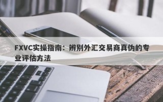 FXVC实操指南：辨别外汇交易商真伪的专业评估方法