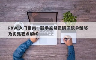 FXVC入门指南：新手交易员镜像跟单策略及实践要点解析