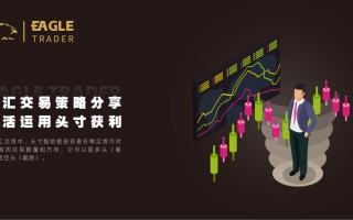 外汇交易策略分享|灵活运用头寸获利