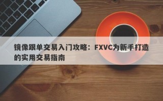 镜像跟单交易入门攻略：FXVC为新手打造的实用交易指南