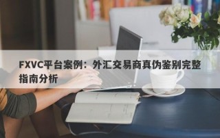 FXVC平台案例：外汇交易商真伪鉴别完整指南分析