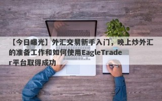 【今日曝光】外汇交易新手入门，晚上炒外汇的准备工作和如何使用EagleTrader平台取得成功