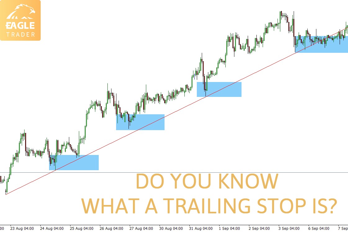 你知道什么是追踪止损吗?-第1张图片-EagleTrader 你知道什么是追踪止损吗?-第1张图片-EagleTrader