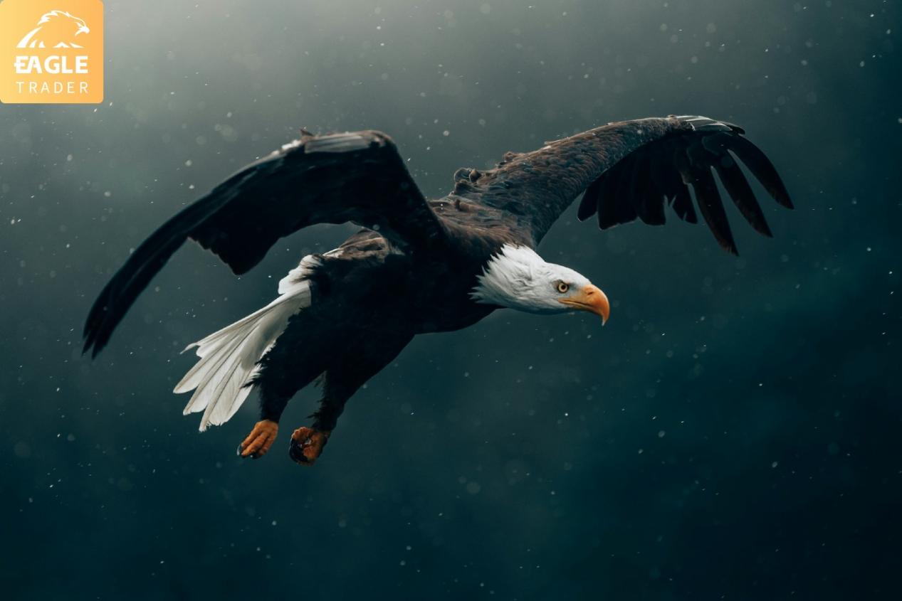 什么是EagleTrader?-第1张图片-EagleTrader 什么是EagleTrader?-第1张图片-EagleTrader