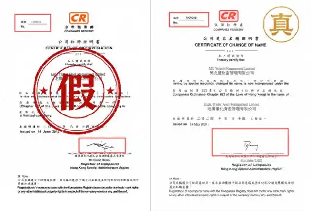 法律风险提示|“老鹰量化”涉嫌仿冒 EagleTrader，请用户注意信息与资金安全-第1张图片-EagleTrader