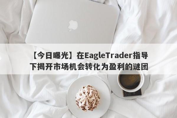 【今日曝光】在EagleTrader指导下揭开市场机会转化为盈利的谜团-第1张图片-Eagle Trader