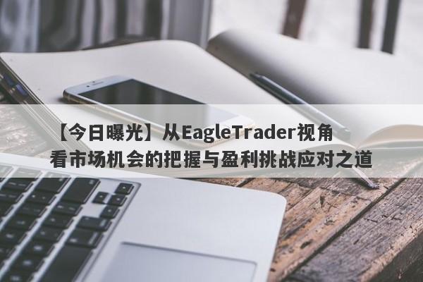 【今日曝光】从EagleTrader视角看市场机会的把握与盈利挑战应对之道-第1张图片-Eagle Trader