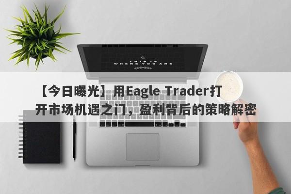 【今日曝光】用Eagle Trader打开市场机遇之门，盈利背后的策略解密-第1张图片-Eagle Trader