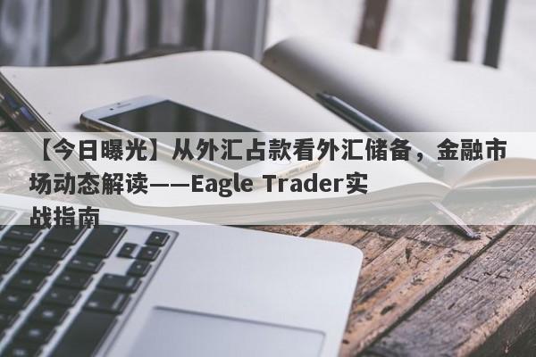 【今日曝光】从外汇占款看外汇储备，金融市场动态解读——Eagle Trader实战指南-第1张图片-Eagle Trader