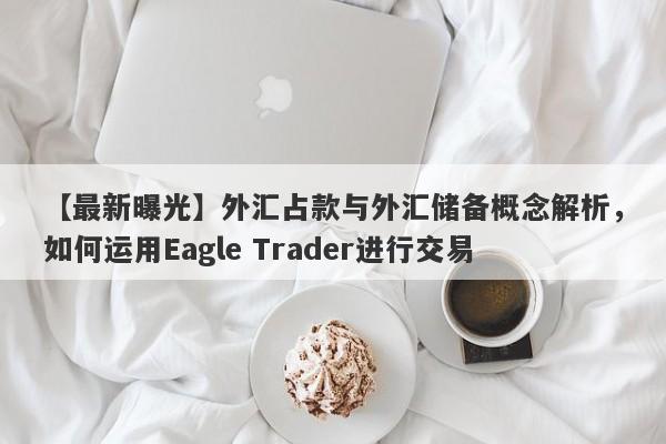 【最新曝光】外汇占款与外汇储备概念解析，如何运用Eagle Trader进行交易-第1张图片-Eagle Trader