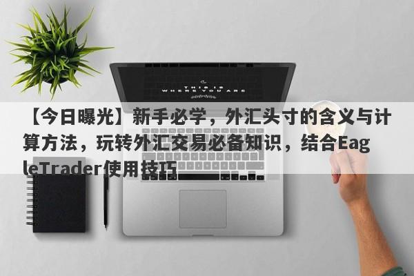 【今日曝光】新手必学，外汇头寸的含义与计算方法，玩转外汇交易必备知识，结合EagleTrader使用技巧-第1张图片-Eagle Trader