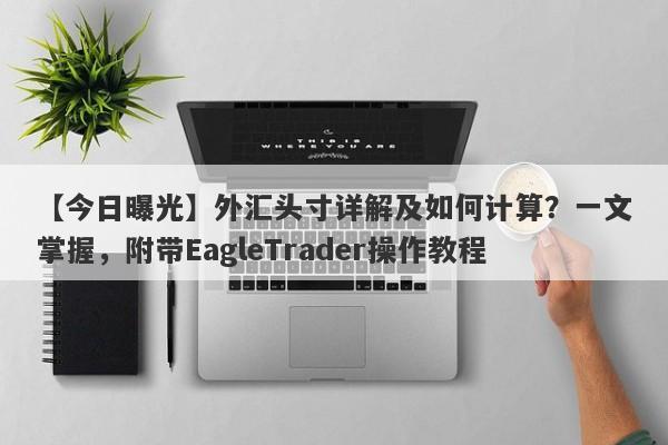 【今日曝光】外汇头寸详解及如何计算？一文掌握，附带EagleTrader操作教程-第1张图片-Eagle Trader