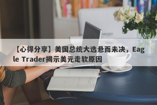 【心得分享】美国总统大选悬而未决，Eagle Trader揭示美元走软原因-第1张图片-Eagle Trader