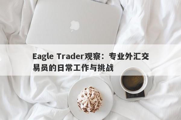 Eagle Trader观察：专业外汇交易员的日常工作与挑战-第1张图片-Eagle Trader