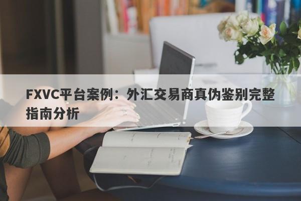 FXVC平台案例：外汇交易商真伪鉴别完整指南分析-第1张图片-Eagle Trader