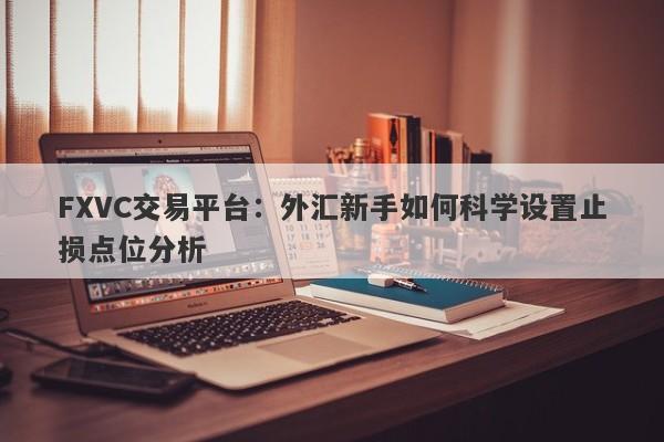 FXVC交易平台：外汇新手如何科学设置止损点位分析-第1张图片-Eagle Trader