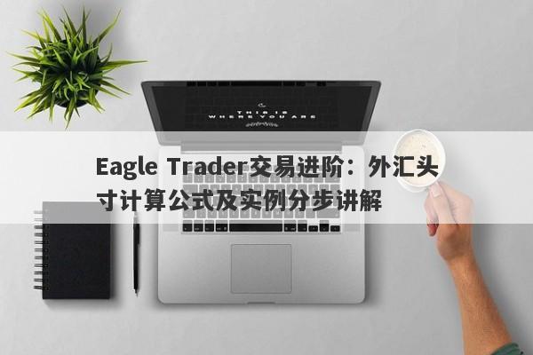 Eagle Trader交易进阶：外汇头寸计算公式及实例分步讲解-第1张图片-Eagle Trader