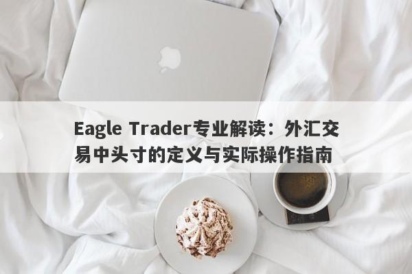 Eagle Trader专业解读：外汇交易中头寸的定义与实际操作指南-第1张图片-Eagle Trader