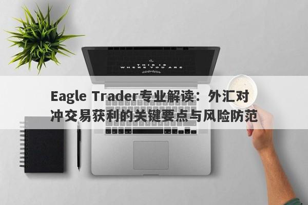 Eagle Trader专业解读：外汇对冲交易获利的关键要点与风险防范-第1张图片-Eagle Trader