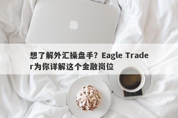 想了解外汇操盘手？Eagle Trader为你详解这个金融岗位-第1张图片-Eagle Trader